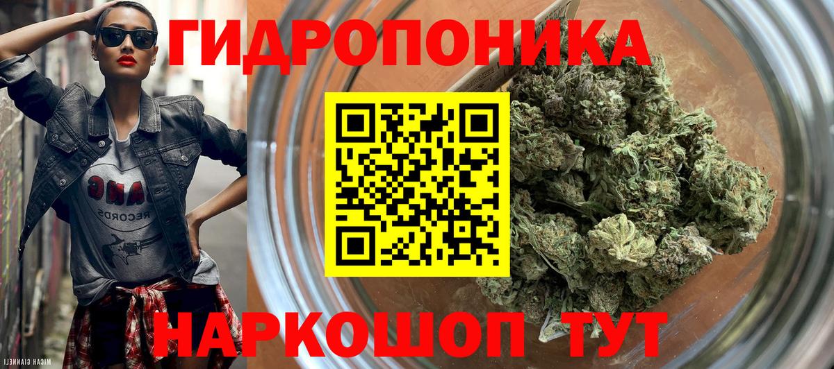 Марихуана OG Kush Кушва